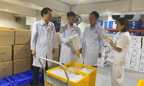 Indonesia nhập khẩu vắc xin dịch tả lợn châu Phi của Việt Nam