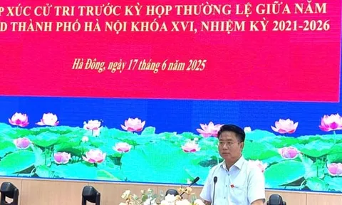 Cử tri Hà Đông kiến nghị vấn đề liên quan đến đất dịch vụ