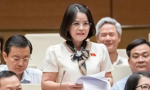 Hàng giả lan rộng, có cán bộ tiếp tay: Đại biểu nói cần cả "chống" lẫn "xây"