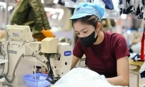 Từ 1-7, tiền lương tối thiểu vùng ở xã phường TP.HCM, Hà Nội có nhiều thay đổi