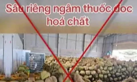 Xử phạt người tung tin 'sầu riêng ngâm hoá chất'