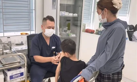Tăng số ca trẻ bị chó cắn dịp hè