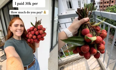 Bỏ 30.000 đồng/kg mua loại trái cây yêu thích ở Việt Nam, khách Tây khiến dân mạng bái phục vì "mát tay" chọn được giá hời