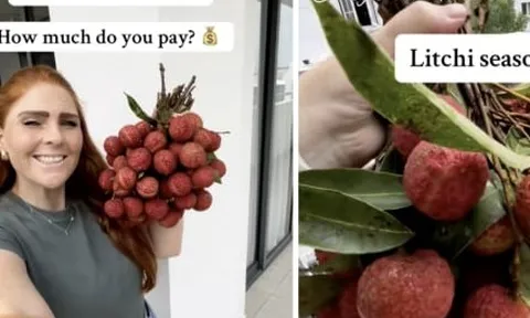 Sốt clip cô gái Tây cười tít khoe chùm vải ngon mua với giá 30 nghìn đồng/kg