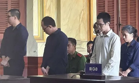 Nhân viên ngân hàng nhờ đồng nghiệp hỗ trợ để chiếm đoạt hơn 5,2 tỉ đồng