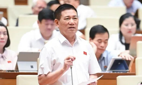Giữ thuế khoán với hộ kinh doanh có doanh thu dưới 1 tỷ đồng để tránh thiệt thòi