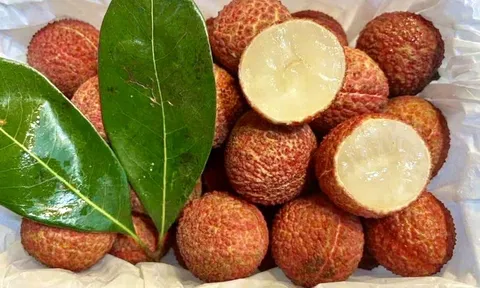 Vải thiều Trung Quốc 'đổ bộ' chợ Việt, giá cao không tưởng