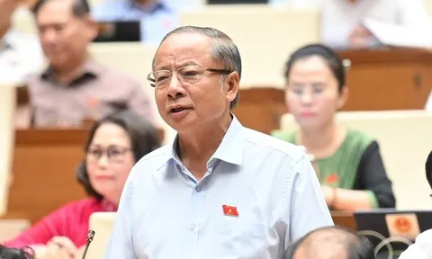 ĐBQH: Có thể đảm bảo bữa ăn cho học sinh "miễn là không có lợi ích nhóm"