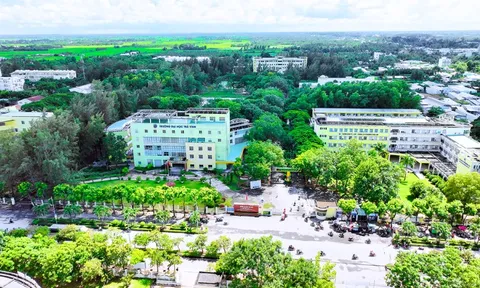 Trường Đại học Trà Vinh nghiên cứu phục vụ phát triển địa phương và cộng đồng