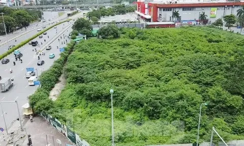 Dự án tháp tài chính gần 4.000 tỷ đồng ở Hà Nội 'hoá rừng' sau 20 năm ôm đất lãng phí