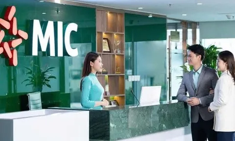 MIC sắp trả cổ tức năm 2024 với tỷ lệ 10%