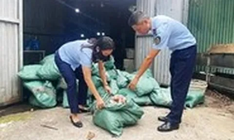 Choáng vì hàng giả tinh vi như hàng thật