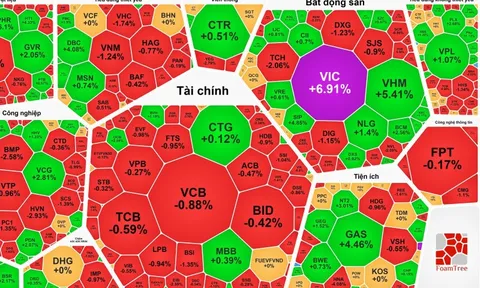 VIC bất ngờ tăng kịch trần, VN-Index lập đỉnh 3 năm