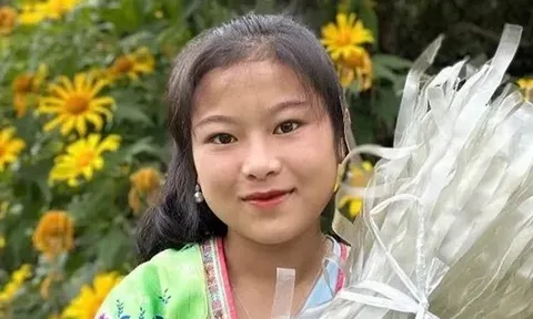 TikToker Việt lao đao