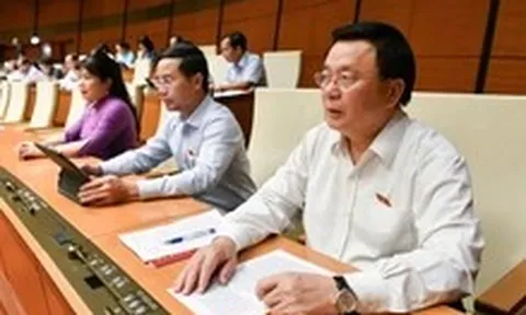 Quốc hội quyết trao quyền đặc biệt: Chính phủ được ban hành nghị quyết để sửa luật