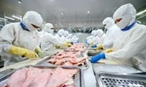Cá tra Việt Nam nhận tin vui lớn từ Mỹ