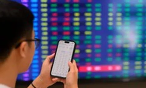 Một công ty chứng khoán bị phạt nặng, nhận 'lệnh' đình chỉ môi giới 2 tháng