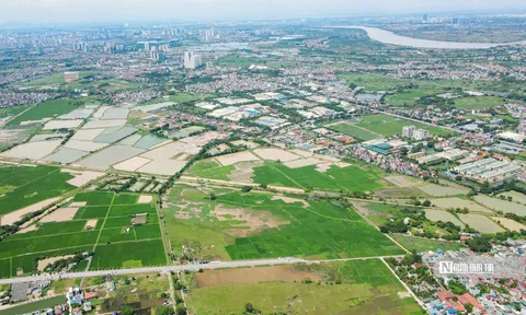 Quốc hội chốt kéo dài thời gian miễn thuế đất nông nghiệp đến hết 2030