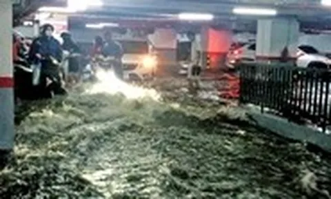 Sau trận mưa lớn, xe cộ 'bơi' trong một hầm chung cư ở Hạ Long