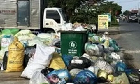 Công ty thua lỗ đóng cửa, Cà Mau nguy cơ 'vỡ trận' rác