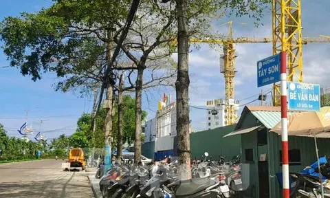 Quy Nhơn sắp có dự án chung cư 45 tầng nghìn tỷ