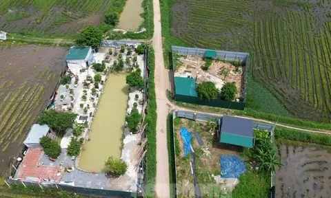 Nhiều công trình vi phạm đất đai, trật tự xây dựng ở Hà Nội chưa được xử lý dứt điểm