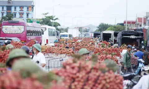 Đi chợ vải thiều Bắc Giang