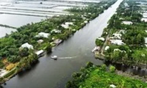 Phố xá, ruộng đồng nào cũng quê hương - Kỳ 3: Gà Bạc Liêu không còn gáy Cà Mau nghe