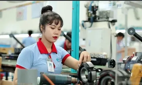 AI tiến sâu vào doanh nghiệp: Kỳ 1: 'Chạm ngõ' AI