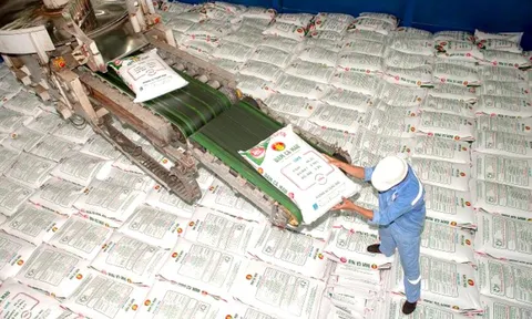 Giá phân bón có thể sắp tăng