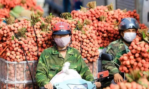 Nông sản Việt đang ở đâu?