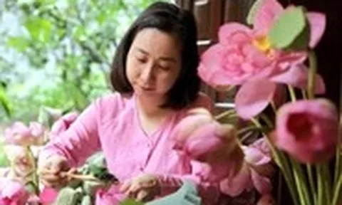 Sen Bách Diệp hồ Tây hồi sinh