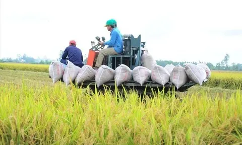 Việt Nam thu về 33,8 tỷ USD từ xuất khẩu nông sản, giao thương với Mỹ tăng mạnh