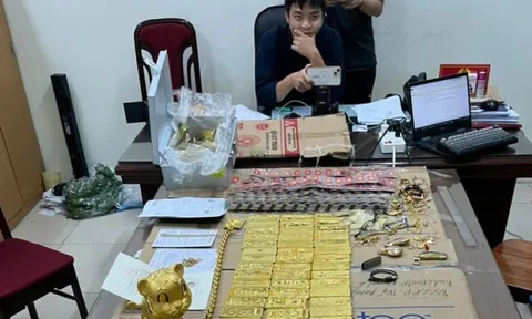 Công an Hà Nội thu giữ 5.300 tỷ đồng, triệu tập 571 bị hại, làm rõ gần 1.100 đối tượng liên quan vụ lừa đảo Mr Pip