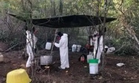 'Sát thủ thầm lặng' fentanyl - Kỳ 3: Điều chế bí mật fentanyl tử thần ở Mexico