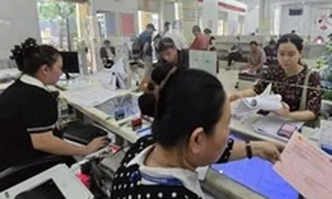 Phường, xã, đặc khu TP.HCM đã nhận 11.581 hồ sơ đất đai