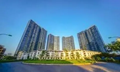 Phiên livestream đặt giá NobleGo: Khách sở hữu căn hộ Sunshine City rẻ hơn 2 tỉ đồng