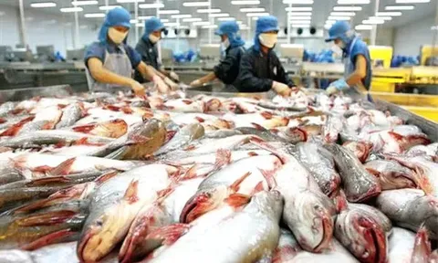 Xuất khẩu thủy sản tăng chậm lại trong tháng 6