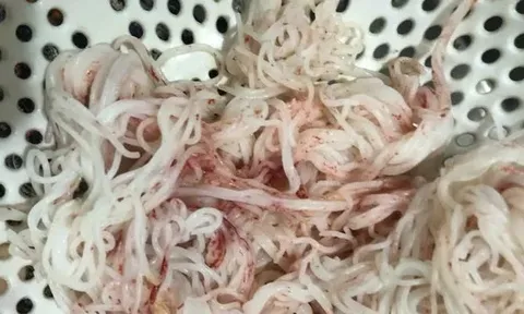 Bún tươi đổi màu lạ tại Đà Nẵng: Cơ sở sản xuất bị đình chỉ khẩn cấp