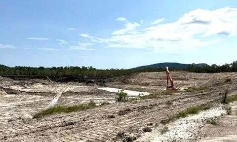 Thuê 8 máy múc san lấp, lấn chiếm hơn 50.000 m2 đất công ở Phú Quốc