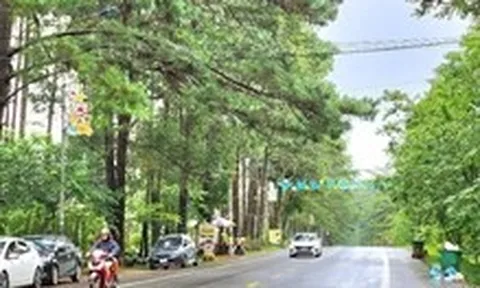Quảng Ngãi sẵn sàng thực hiện đường sắt tốc độ cao, sân bay, cao tốc