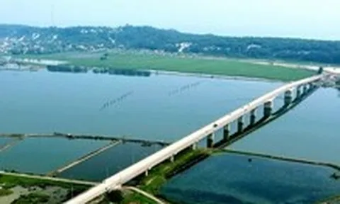 Huế: Điều tra vụ phá rừng phòng hộ ven biển bị chặt phá hơn 2,5ha