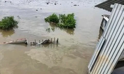 Cà Mau: Sạt lở trong đêm làm 5 căn nhà trôi xuống sông