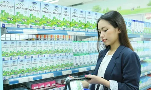 Nhập khẩu sữa ngoại tăng mạnh