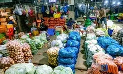 Túi ni lông phải sớm... hết thời