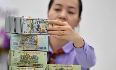 Dự báo tỷ giá USD nửa cuối năm 2025: Hai yếu tố có thể làm tăng áp lực mất giá của VND, mức tăng cả năm vào khoảng 5%