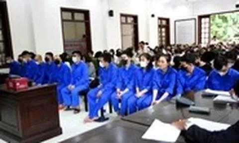 Xét xử 87 bị cáo trong đường dây 'lùa' khách hàng từ TP.HCM về Đồng Nai mua đất
