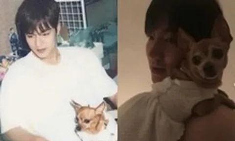 Lee Min Ho và tình yêu thương vô hạn dành cho chú cún vừa qua đời
