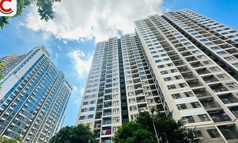 Chuyên gia: Giá nhà giảm là câu chuyện của 2026 trở đi, chung cư mới tại Hà Nội mở bán trung bình 91 triệu đồng/m2