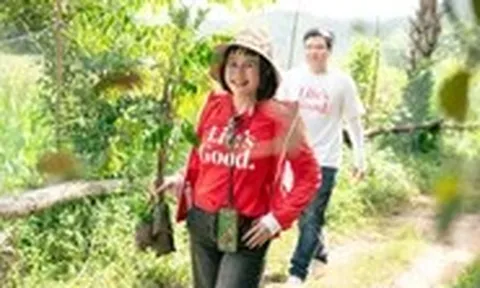 Cùng Đại sứ Cộng đồng LG hồi sinh rừng xanh, gieo mật ngọt lành